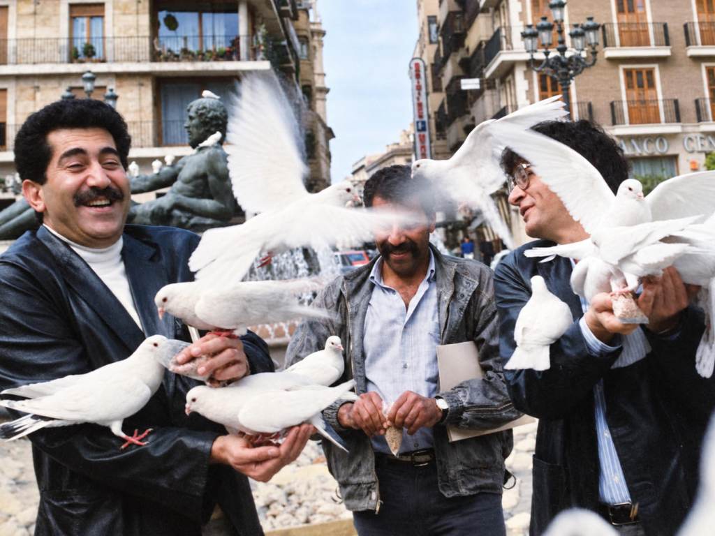 Mahmoud Darwish, the pigeons take flight